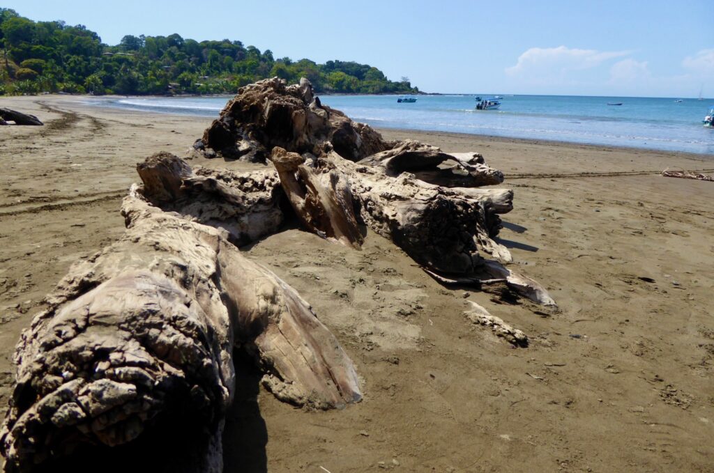 Gallery main beach