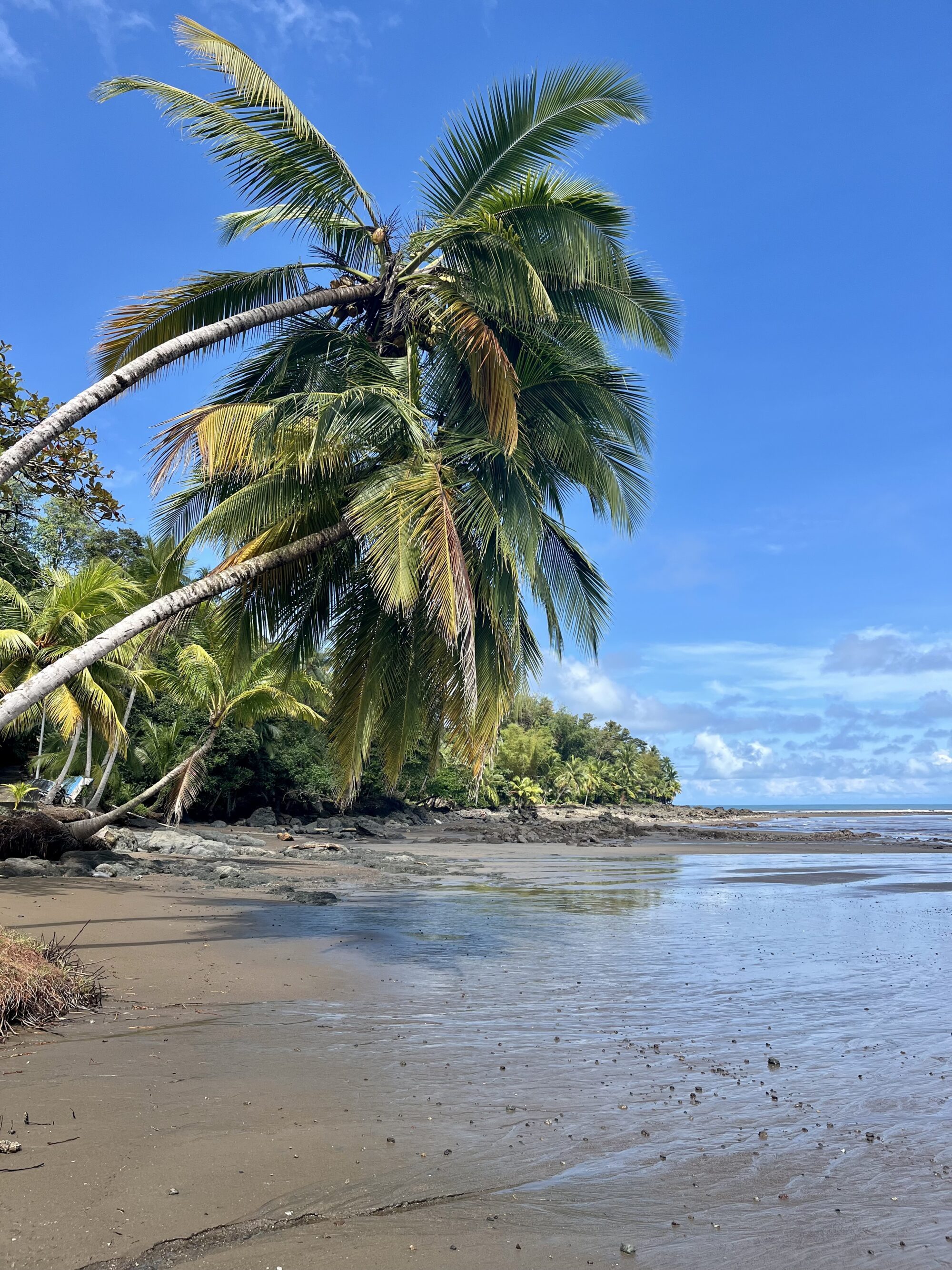 the beach at Drake Bay, Costa Rica