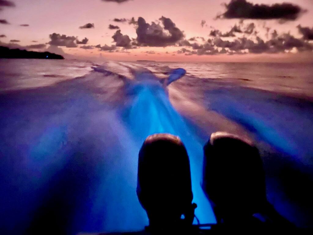 Bioluminescence from a boat in Drake Bay, Costa Rica