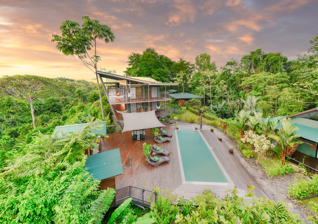 Boutique lodge pool surrounded by tropical rainforest