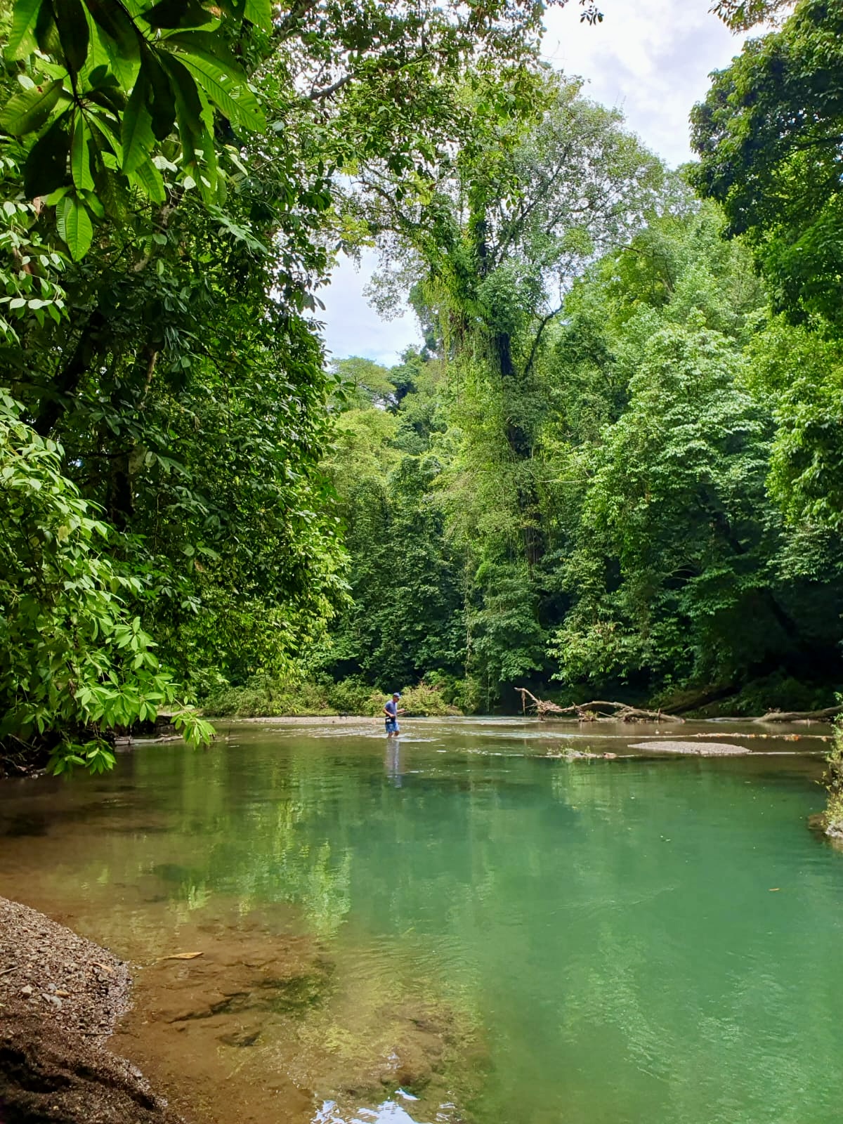 the Agujitas River close to Southern Drake Lodge, Drake Bay, Costa Rica